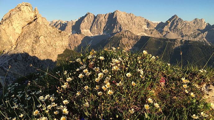 Ein Naturerlebnis der besonderen Art